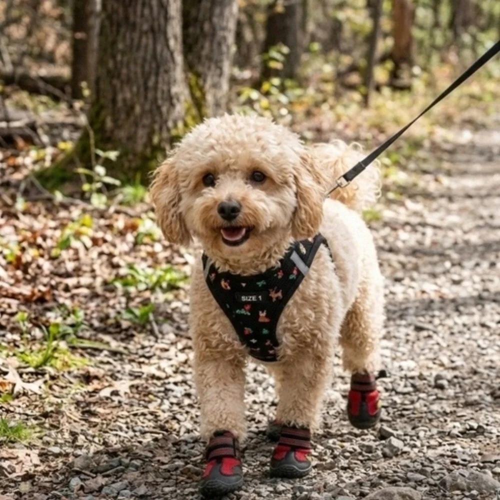 Red and Black Protective Dog Booties Secure Fit Outdoor Paw Shoes Size 1